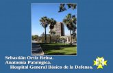 Sebastián Ortiz Reina. Anatomía Patológica. Hospital General Básico de la Defensa.