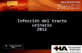Infección del tracto urinario 2012 Dr. Ariel Izcovich 2012 Dr. Ariel Izcovich 2012.