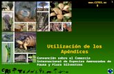 1 Convención sobre el Comercio Internacional de Especies Amenazadas de Fauna y Flora Silvestres Utilización de los Apéndices 1  © Derechos.