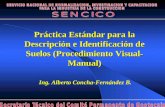 Ing. Alberto Concha-Fernández B. Práctica Estándar para la Descripción e Identificación de Suelos (Procedimiento Visual- Manual)