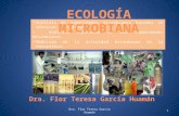 Análisis de comunidades microbianas basadas en técnicas de cultivo. Análisis molecular de las comunidades microbianas. Medición de la actividad microbiana.