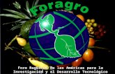 Foro Regional de las Américas para la Investigación y el Desarrollo Tecnológico Agropecuario.