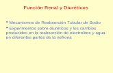 Función Renal y Diuréticos Mecanismos de Reabsorción Tubular de Sodio Experimentos sobre diuréticos y los cambios producidos en la reabsorción de electrolitos.