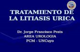 TRATAMIENTO DE LA LITIASIS URICA Dr. Jorge Francisco Prats AREA UROLOGIA FCM - UNCuyo.