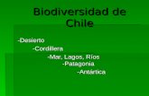 Biodiversidad de Chile -Desierto-Cordillera -Mar, Lagos, Ríos -Patagonia -Antártica.