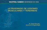 ULTRASONIDO DE LESIONES MUSCULARES Y TENDíNEAS