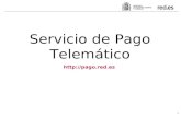 0 Servicio de Pago Telemático http://pago.red.es.