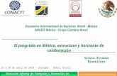 El posgrado en México, estructura y horizonte de colaboración Dirección Adjunta de Formación y Desarrollo de Científicos y Tecnólogos Silvia Álvarez Bruneliere.