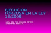 EJECUCION FORZOSA EN LA LEY 13/2009. Guía practica de ejecución forzosa.