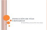 I NFECCIÓN DE V ÍAS U RINARIAS IP Areli Reyes Arcos/ Dr. Lino Amor.