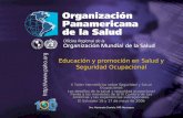 2003 Organización Panamericana de la Salud.... Educación y promoción en Salud y Seguridad Ocupacional II Taller Hemisférico sobre Seguridad y Salud Ocupacional: