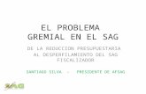EL PROBLEMA GREMIAL EN EL SAG DE LA REDUCCION PRESUPUESTARIA AL DESPERFILAMIENTO DEL SAG FISCALIZADOR SANTIAGO SILVA - PRESIDENTE DE AFSAG.