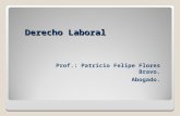 Derecho Laboral Prof.: Patricio Felipe Flores Bravo. Abogado.
