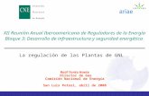 XII Reunión Anual Iberoamericana de Reguladores de la Energía Bloque 3: Desarrollo de infraestructura y seguridad energética La regulación de las Plantas.