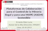Plataformas de Colaboración para el Control de la Minería Ilegal y para una MAPE (ASGM) Sostenible Ernesto Ráez Luna Asesor de la Alta Dirección, MINAM.