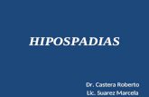 HIPOSPADIAS Dr. Castera Roberto Lic. Suarez Marcela.