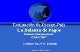 MH BOUCHET/CERAM (c) Evaluación de Riesgo-País La Balanza de Pagos Semana Internacional ESAN 2007 Profesor: Dr. M.H. Bouchet.