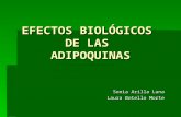EFECTOS BIOLÓGICOS DE LAS ADIPOQUINAS Sonia Arilla Luna Laura Botello Morte.