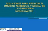 SOLUCIONES PARA REDUCIR EL IMPACTO AMBIENTAL Y SOCIAL DE LA GANADERIA (Anteproyecto)