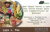 Qué hemos hecho y que nos falta hacer para ser competitivos en Quinua? Balances y Perspectivas sobre el consumo Nacional e Internacional de la Quinua Luis.