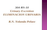304-RS-10 Urinary Excretion ELIMINACION URINARIA R.N. Yolanda Pelaez.