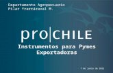 Instrumentos para Pymes Exportadoras 24 de abril de 2014 Departamento Agropecuario Pilar Yrarrázaval M.