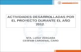 NTA. LUISA VERGARA CESFAM CARDENAL CARO ACTIVIDADES DESARROLLADAS POR EL PROYECTO DURANTE EL AÑO 2012.