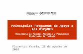 Principales Programas de Apoyo a las MiPyMEs Ministerio de Asuntos Agrarios y Producción Ministerio de Trabajo Florencio Varela, 20 de agosto de 2008.