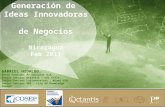 Generación de Ideas Innovadoras de Negocios Nicaragua Feb 2011 GABRIEL HIDALGO. Socio Fundador P3 Ventures S.A. Senior Advisor Octantis - UAI Chile Senior.