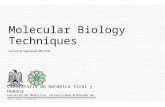 CA García Sepúlveda MD PhD Molecular Biology Techniques Laboratorio de Genómica Viral y Humana Facultad de Medicina, Universidad Autónoma de San Luis Potosí