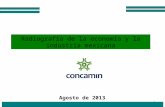1 Radiografía de la economía y la industria mexicana Agosto de 2013.