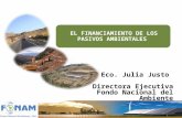 EL FINANCIAMIENTO DE LOS PASIVOS AMBIENTALES Eco. Julia Justo Directora Ejecutiva Fondo Nacional del Ambiente.