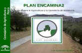 PLAN ENCAMINA2... por y para la Agricultura y la Ganadería de Andalucía Consejería de Agricultura y Pesca 1 de septiembre de 2011.