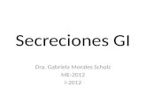 Secreciones GI Dra. Gabriela Morales Scholz ME-2012 I-2012.