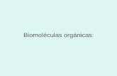 Biomoléculas orgánicas:. Biomoléculas Orgánicas Monómeros – Aminoácidos grupo amino + carboxilo + cadena lateral – Azúcares sencillos polihidroxialdehídos.