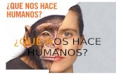 ¿QUÉ NOS HACE HUMANOS?. Árbol de la evolución de Charles Darwin.