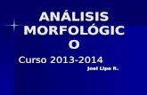 ANÁLISIS MORFOLÓGICO Curso 2013-2014 Joel Lipa R..
