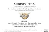 AUDAP: Metodología Asistida por Computador para Auditoría Orientada al Riesgo en Operaciones Automatizadas. 1 AUDISIS LTDA. AUDITORES - CONSULTORES Especialistas.