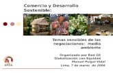 Temas sensibles de las negociaciones: medio ambiente Organizado por Red GE Globalización con Equidad Manuel Pulgar-Vidal Lima, 7 de marzo de 2008 Comercio.