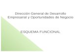 Dirección General de Desarrollo Empresarial y Oportunidades de Negocio ESQUEMA FUNCIONAL.
