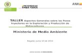 TALLER Aspectos Generales sobre los Pozos Inyectores en la Exploración y Producción de Hidrocarburos Ministerio de Medio Ambiente Bogotá, Junio 10 de 2014.