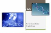 Mol©culas de la vida Biomoleculas: Orgnicas. Mol©culas orgnicas ï‚› 28-05-2013