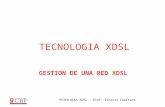 GESTION DE UNA RED XDSL TECNOLOGIA XDSL TECNOLOGIA XDSL - Prof. Vicente Capitani.