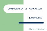 COREOGRAFIA DE MARCACION Clase Práctica 1 LANDMARKS.