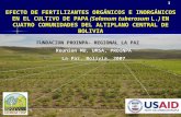 1 EFECTO DE FERTILIZANTES ORGÁNICOS E INORGÁNICOS EN EL CULTIVO DE PAPA (Solanum tuberosum L.) EN CUATRO COMUNIDADES DEL ALTIPLANO CENTRAL DE BOLIVIA FUNDACION.