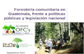 Forestería comunitaria en Guatemala, frente a políticas públicas y legislación nacional Septiembre 2013.