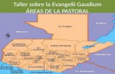 Taller sobre la Evangelii Gaudium ÁREAS DE LA PASTORAL Guatemala, Agosto 4-6 de 2014.