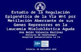 1 Estudio de la Regulación Epigenética de la Vía Wnt por Metilación Aberrante de sus Genes Represores en la Leucemia Mieloblástica Aguda Ana Belén Valencia.