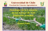 Universidad de Chile Facultad de Ciencias Agronómicas Fisiología de la Latencia de las Yemas de Vid: Hipótesis actuales Manuel Pinto.