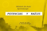 Módulo de Auto Aprendizaje: Módulo de Auto Aprendizaje: POTENCIAS Y RAÍCES Docente de Aula Sr. Bernardo Ortega.